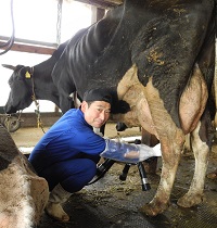 友達の輪写真