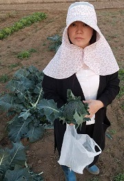 友達の輪写真